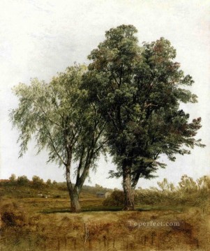 A Study of Trees Luminism scenery John Frederick Kensett Oil Paintings